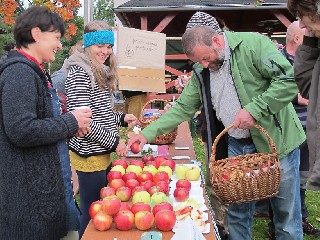 JT42titul.jpg - Den jablek ve Vlčicích - Hlavní soutěž nesla název O nejlepší jablko roku. FOTO (rys)