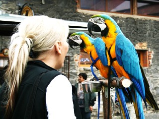 jt18.jpg - Ptáci, všechno nejlepší! Ve Faunaparku v Lipové - lázních oslavili v sobotu dubnový Den ptactva. Návštěvníci mimo jiné zhlédli volný let papoušků. FOTO (peš)